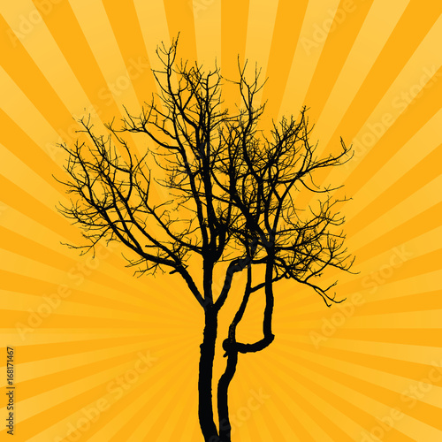 Trees black and white isolated on Sunburst yellow background. © jirawatp