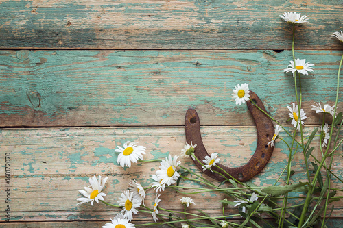 Fototapeta Rustic background with rusty horseshoe and daisies on old wooden boards