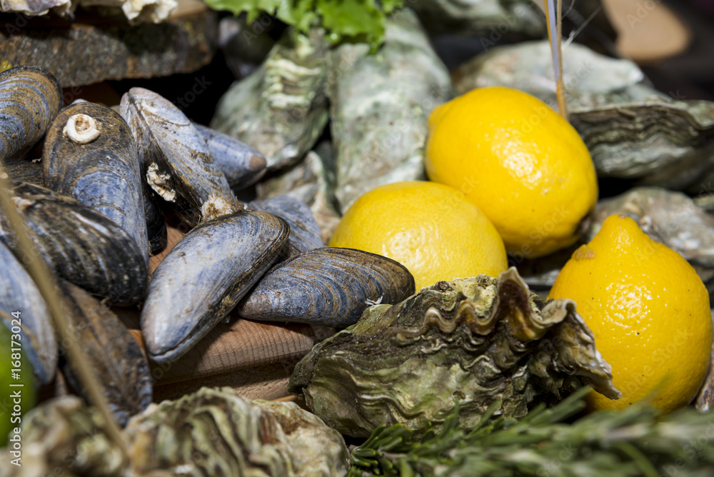 mussels, oysters in shells, seafood, lemons, meal mussels, oysters in shells, seafood, lemons, meal