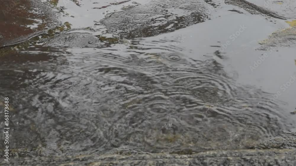 Rain drops to the ground. Rain drops to the ground.