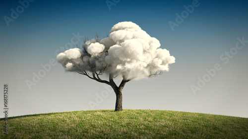 Tree with upper branches of cloud