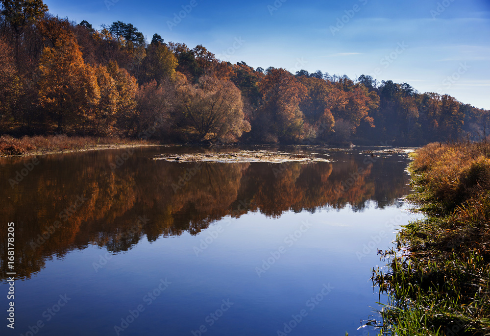 Autumn trees along a calm river.