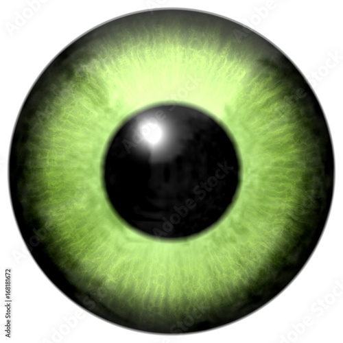 Beautiful scary abstract monster eye texture