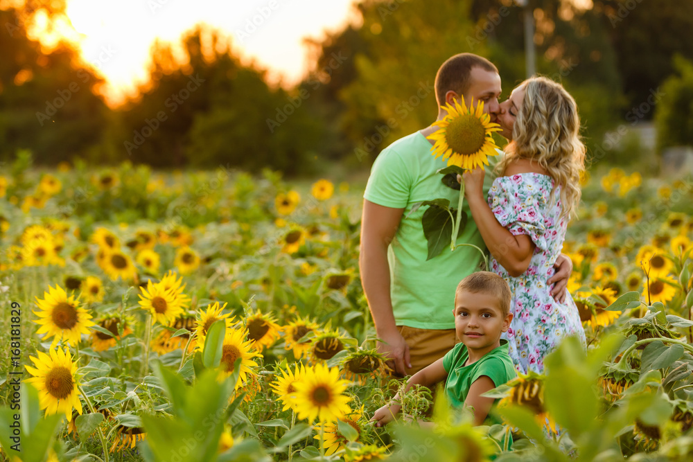 Happy family dad mom playing in the fresh air on the field near the sunflowers watching the beautiful emotional sunset in the backlight Happy family dad mom playing in the fresh air on the field near the sunflowers watching the beautiful emotional sunset in the backlight
