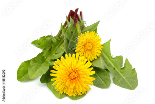 Fototapeta Naklejka Na Ścianę i Meble -  Dandelion flowers close up.