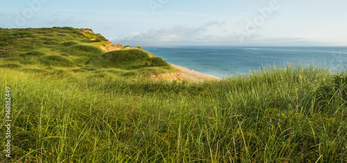 Dunes and Beach Grass.