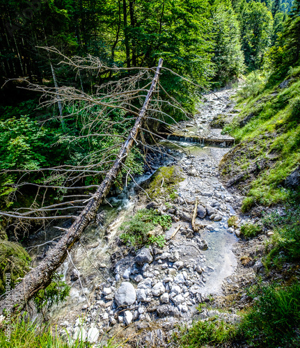 canyon near kreuth photo