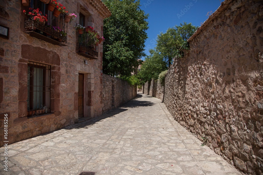 Calle rustica de un pueblo de Soria