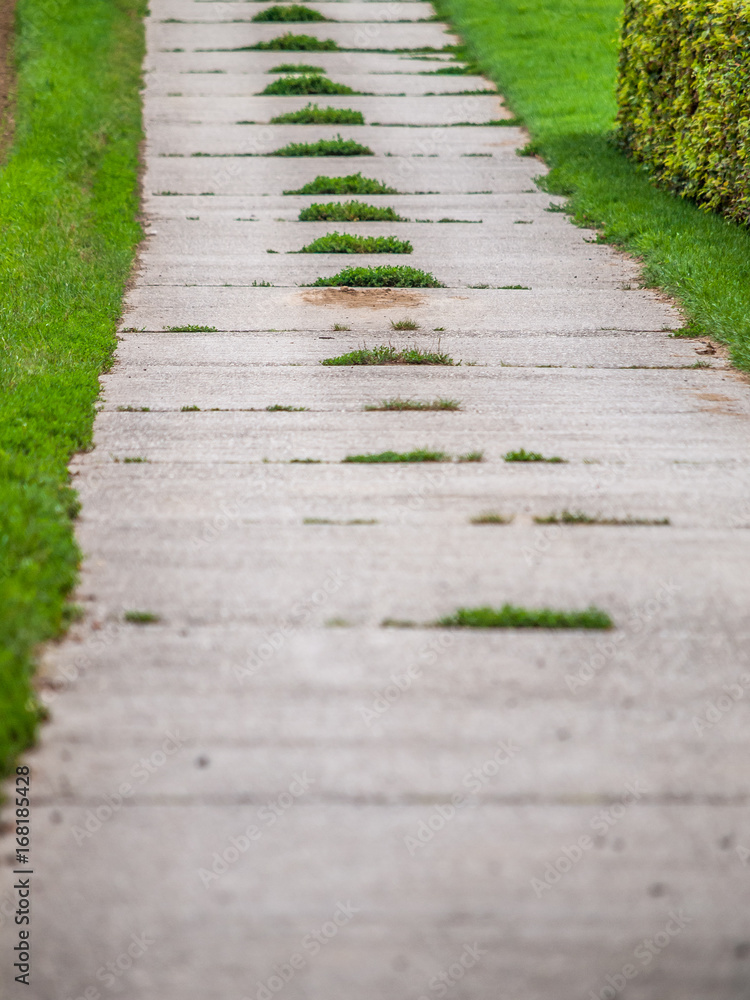 Feldweg Feldweg