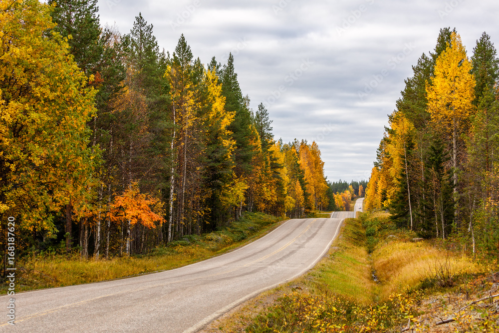 Fototapeta premium Road in autumn colorful forest, Lapland, Finland