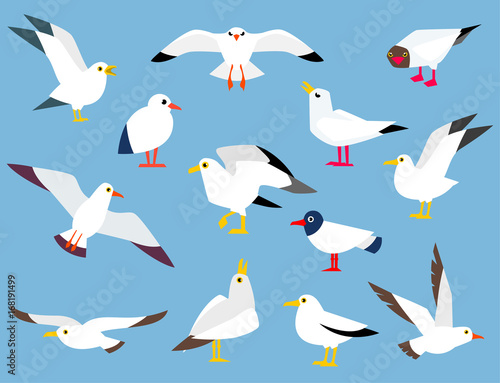 Cartoon atlantic seabird.