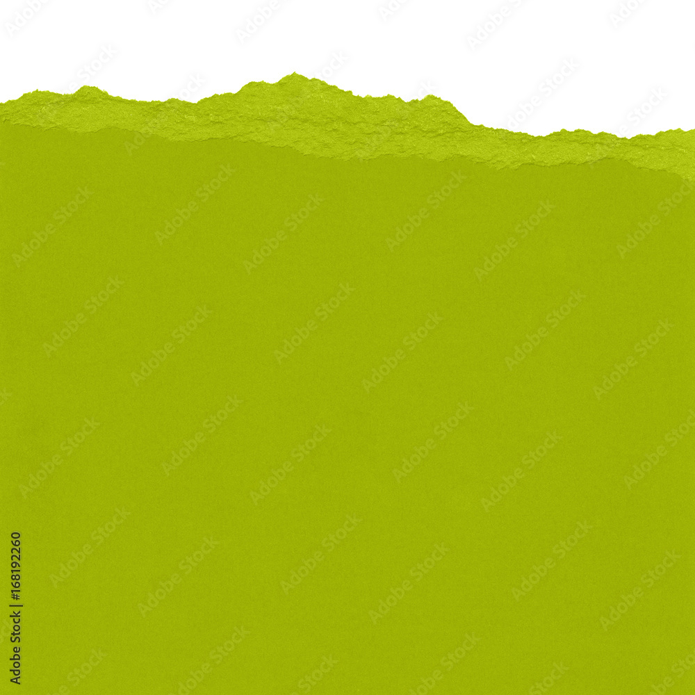 Obraz premium green paper torn