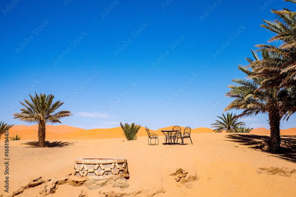 Sahara Still Life
