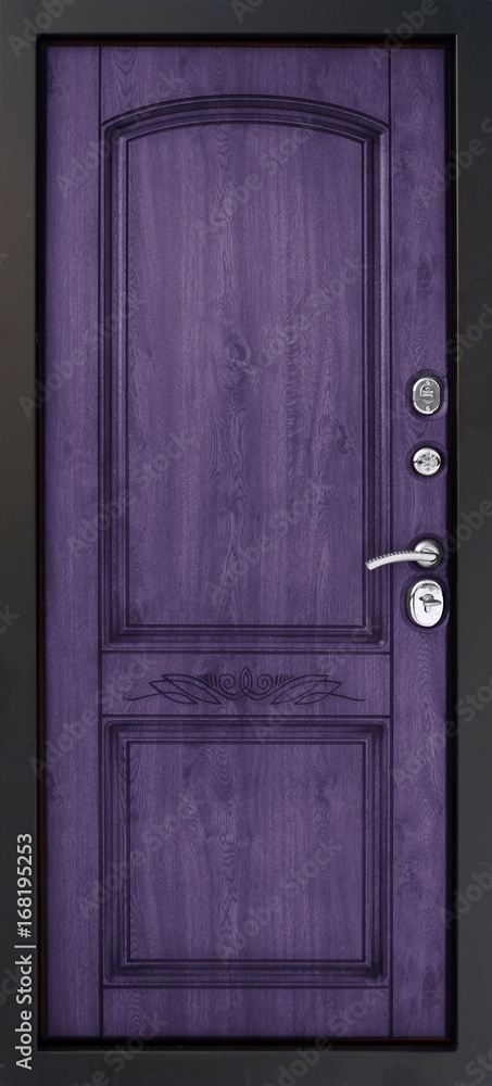Entrance door (metal door) Entrance door (metal door)