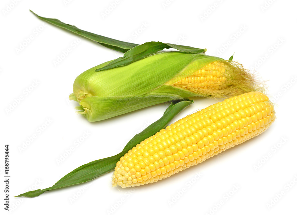 Corn with skin or without skin isolated on white background. A collection of corn. Top view, flat Corn with skin or without skin isolated on white background. A collection of corn. Top view, flat