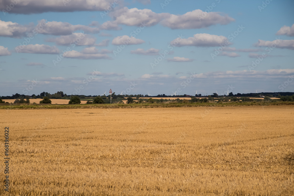 Cambridgeshire Harvest