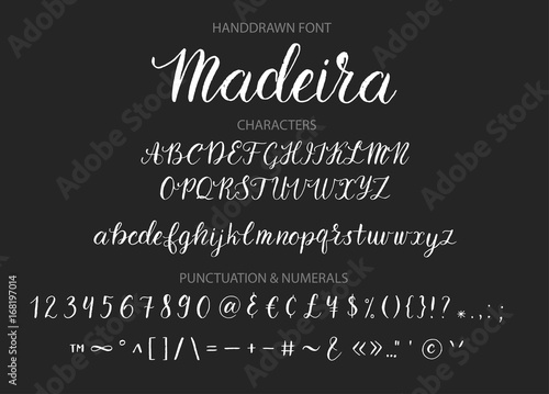 Handdrawn Vector Script font.  Brush style textured calligraphy cursive typeface. 