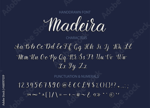 Handdrawn Vector Script font.  Brush style textured calligraphy cursive typeface. 