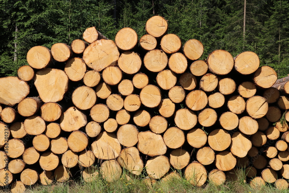 Baumstämme: Stapel aus umgeschnittenen Baumstämmen im Waldviertel, Niederösterreich