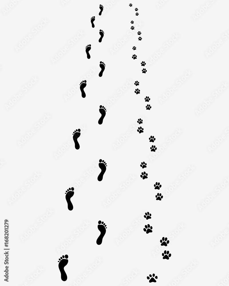 Track of human feet and dog paws on the gray background Track of human feet and dog paws on the gray background