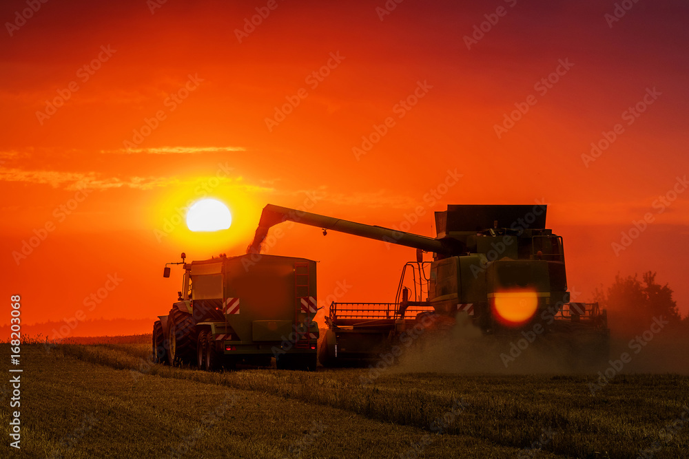 Fototapeta premium combine 