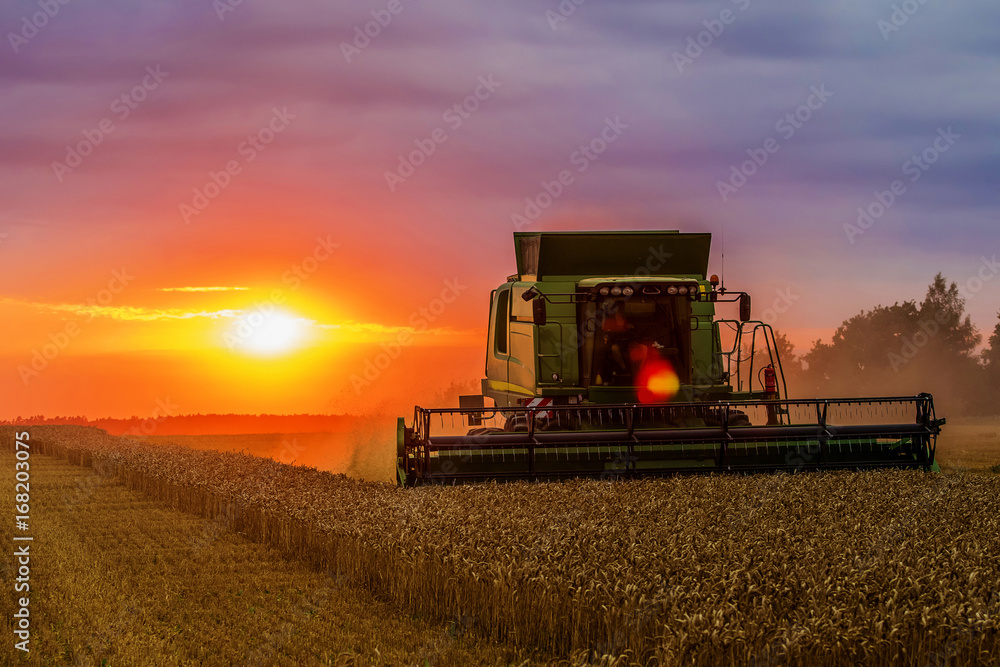 Fototapeta premium combine 