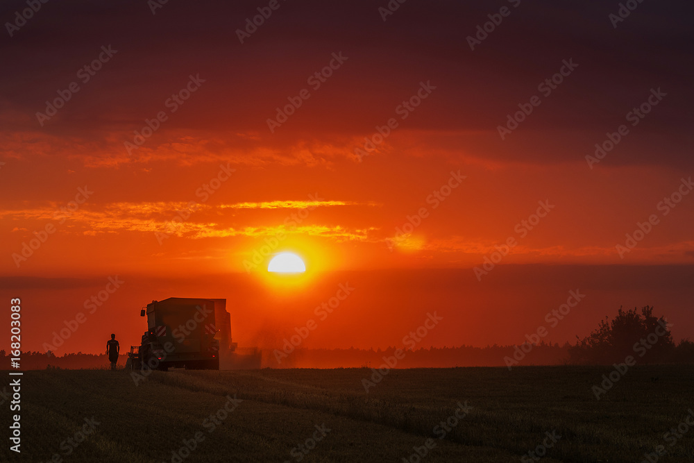 Fototapeta premium combine 