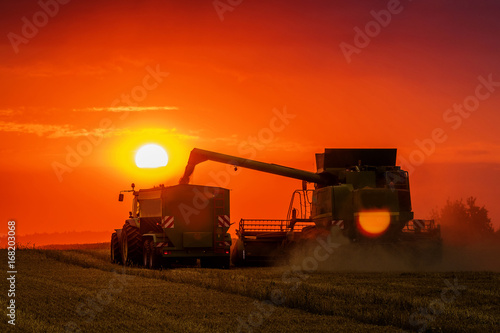 combine "barley and rye during the day and evening at sunset
