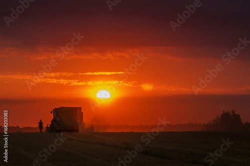 combine "barley and rye during the day and evening at sunset