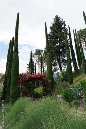 Berg- und Gartenlandschaft mit Zypressen und Rosenbogen in Südtirol / Meran 