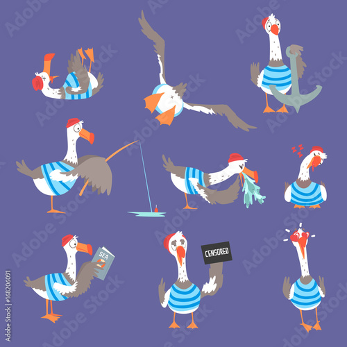 Cartoon seagulls with different poses and emotions set, cute comic bird characters
