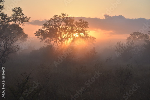 African sunrise