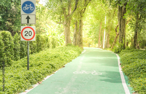 Bike lane in green park