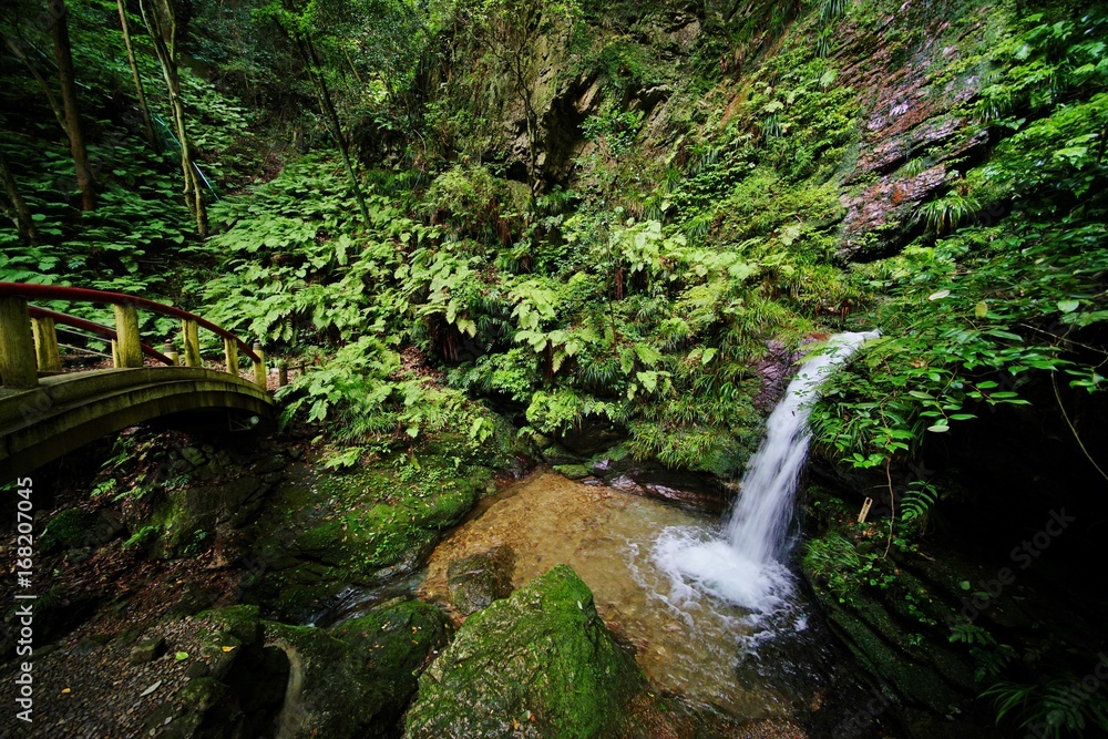 Obraz premium 黒山三滝