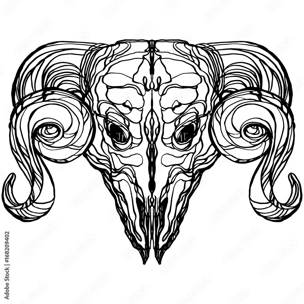 Realistic detailed hand drawn illustration of an old animal skull with ...