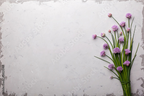Fototapeta Naklejka Na Ścianę i Meble -  Flowering wild onions over gray texture background. Top view, space.