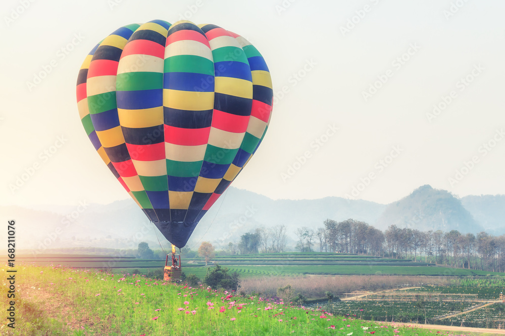 Naklejka premium Hot air balloon over flower fields against blue sky