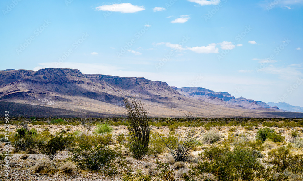 The desert landscape in southern California with some beautiful mountains as a backdrop. The desert landscape in southern California with some beautiful mountains as a backdrop.