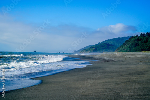 The waves crashing on the beach as the fog is lifting in the Pacific Northwest.