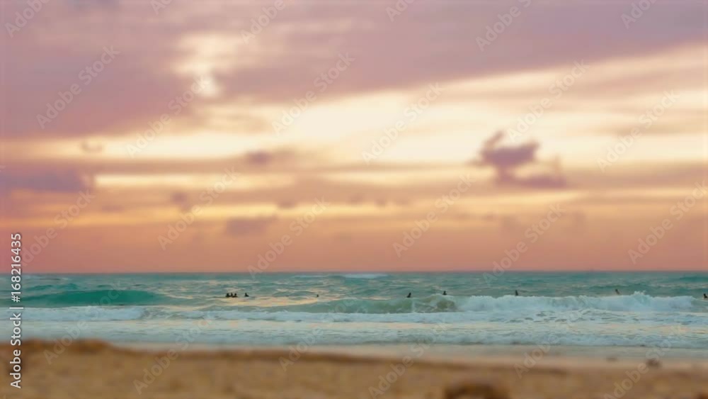 Cinemagraph of group of surfers surfing in the mediterranean sea at sunset in Palmahim beach in Israel Cinemagraph of group of surfers surfing in the mediterranean sea at sunset in Palmahim beach in Israel