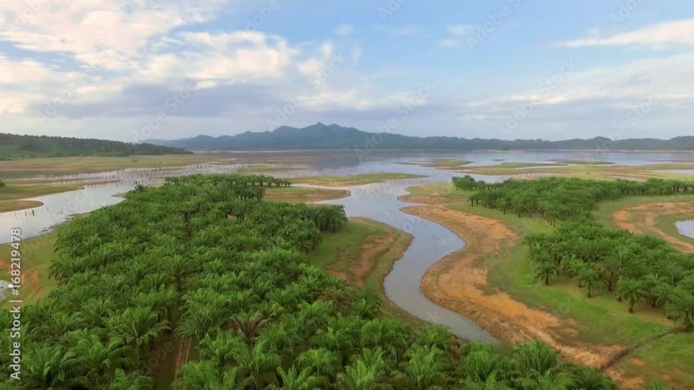 Aerial view of river indented lake with coves and inlets, with banks covered by palm trees and mountains in background. Shot with drone on day with blue sky in Riau, Sumatra, Indonesia, fly backwards Aerial view of river indented lake with coves and inlets, with banks covered by palm trees and mountains in background. Shot with drone on day with blue sky in Riau, Sumatra, Indonesia, fly backwards