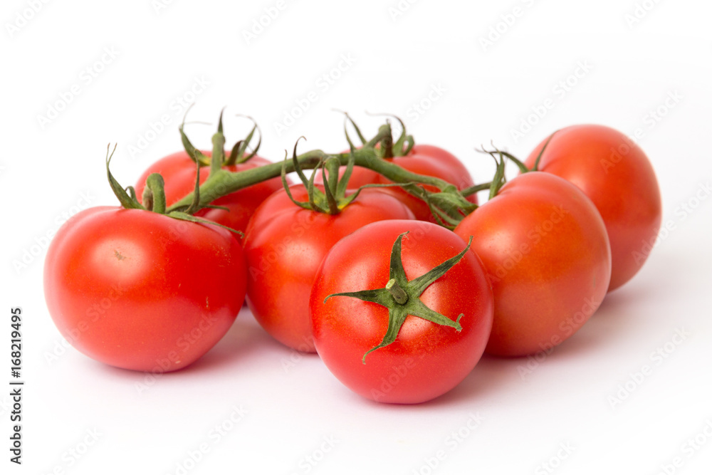 tomatoes on a white background