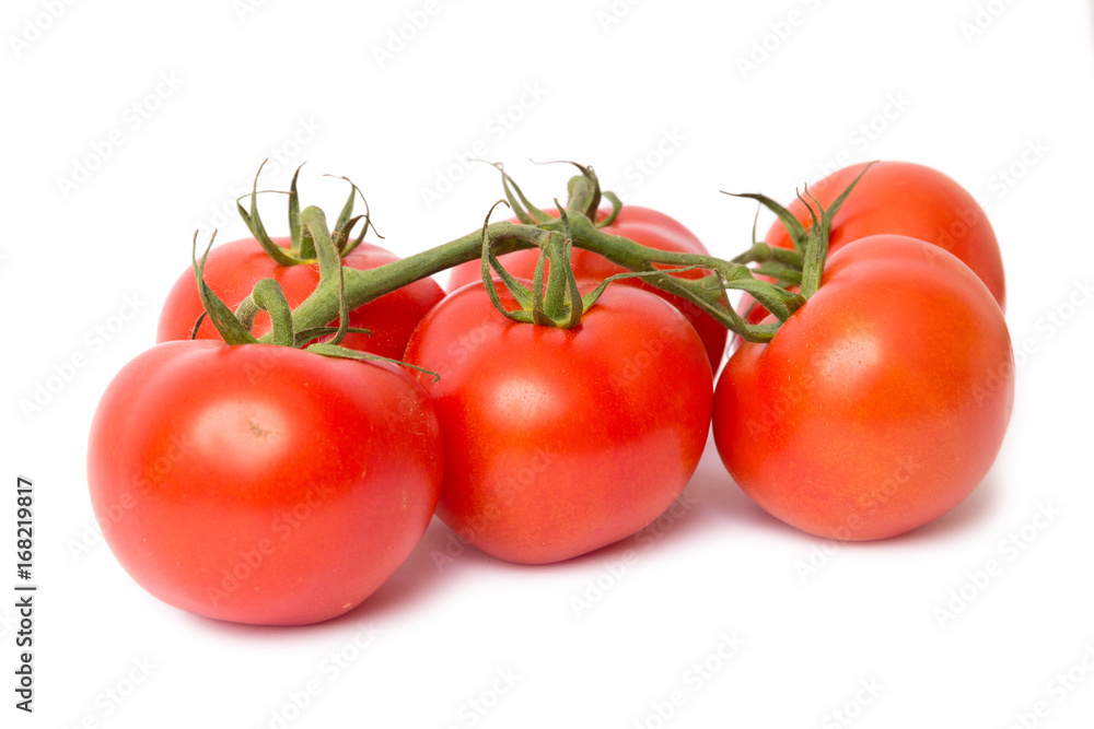fresh tomatoes isolated on white background fresh tomatoes isolated on white background