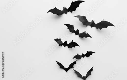 halloween decoration of bats over white background