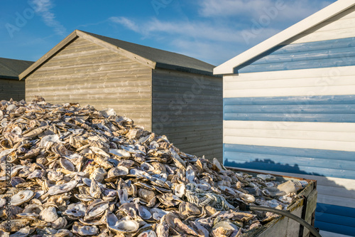 Cultivated oyster shells discarded on beach by wooden huts.