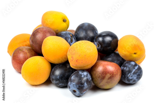  Apricots and plums on white background