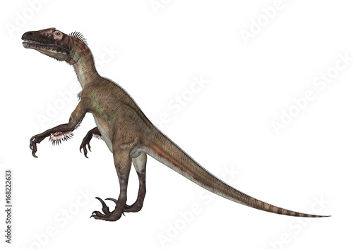 3D Rendering Dinosaur Utahraptor on White