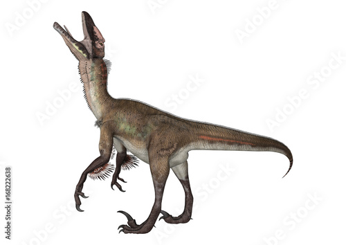 Fototapeta Naklejka Na Ścianę i Meble -  3D Rendering Dinosaur Utahraptor on White