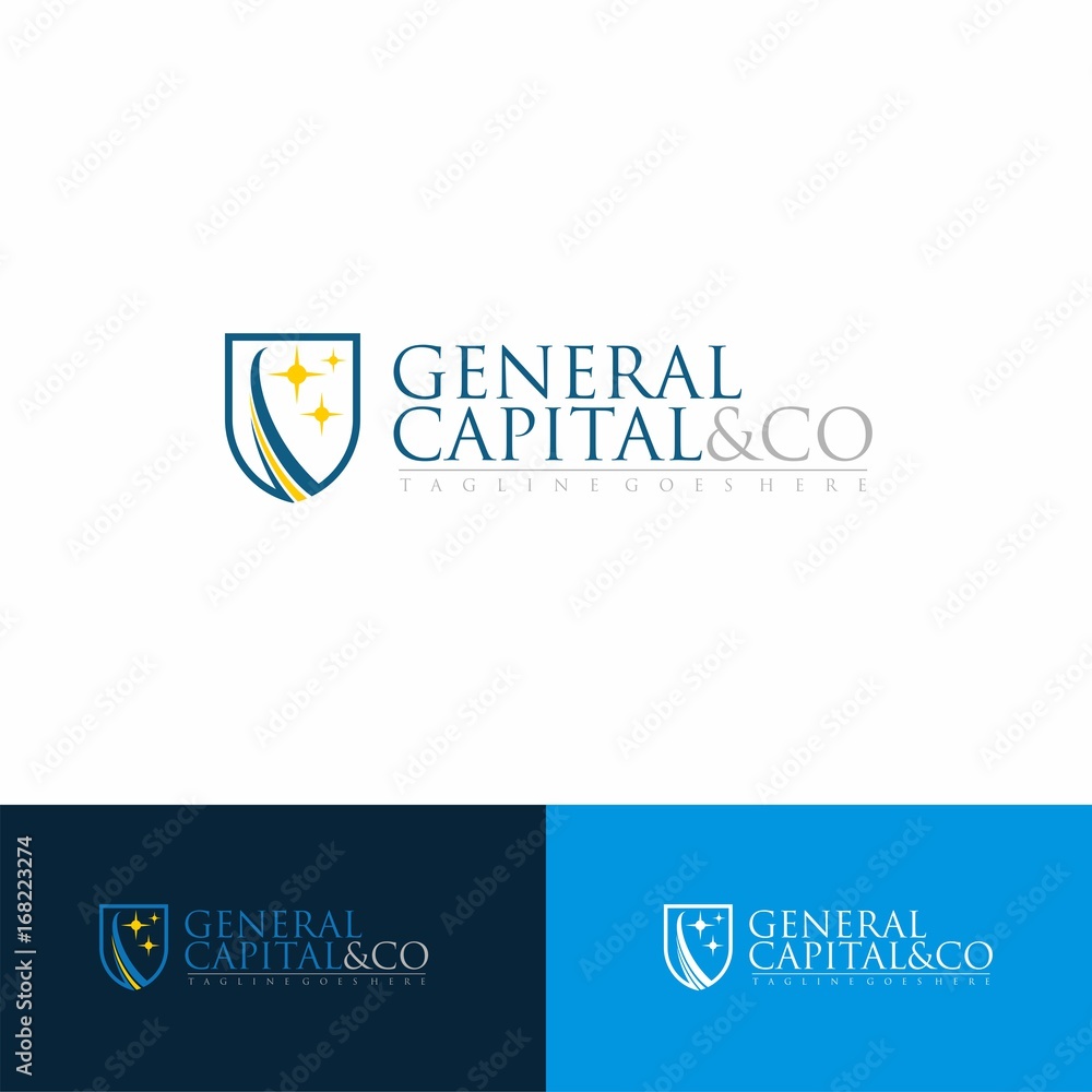 Fototapeta premium business emblem logo concept leading