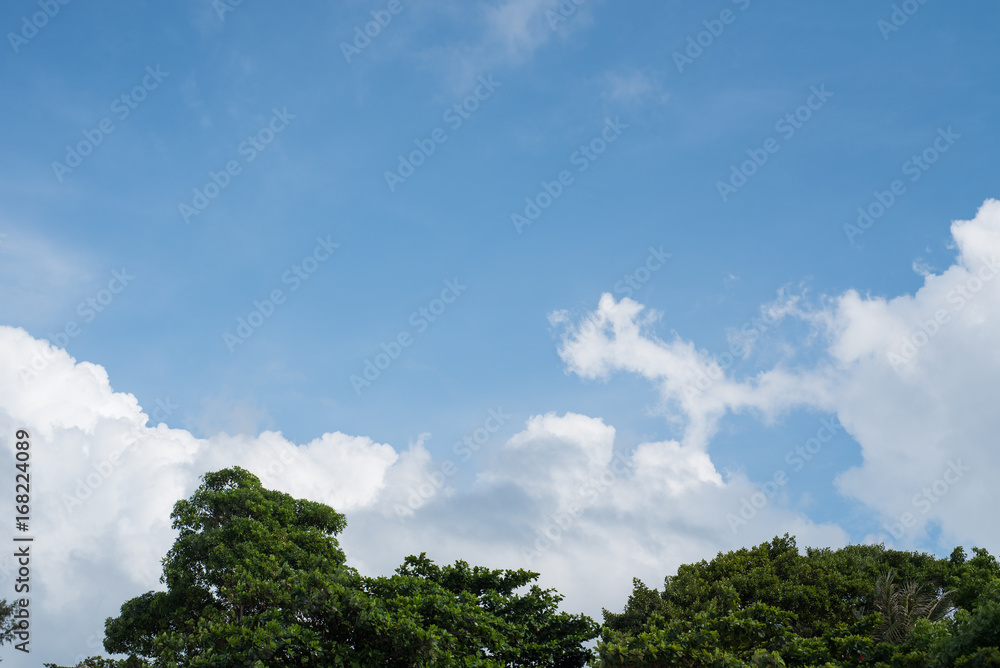 blue sky and cloud blue sky and cloud